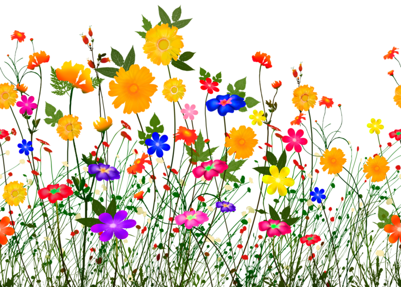 Fleurs dessin couleur design