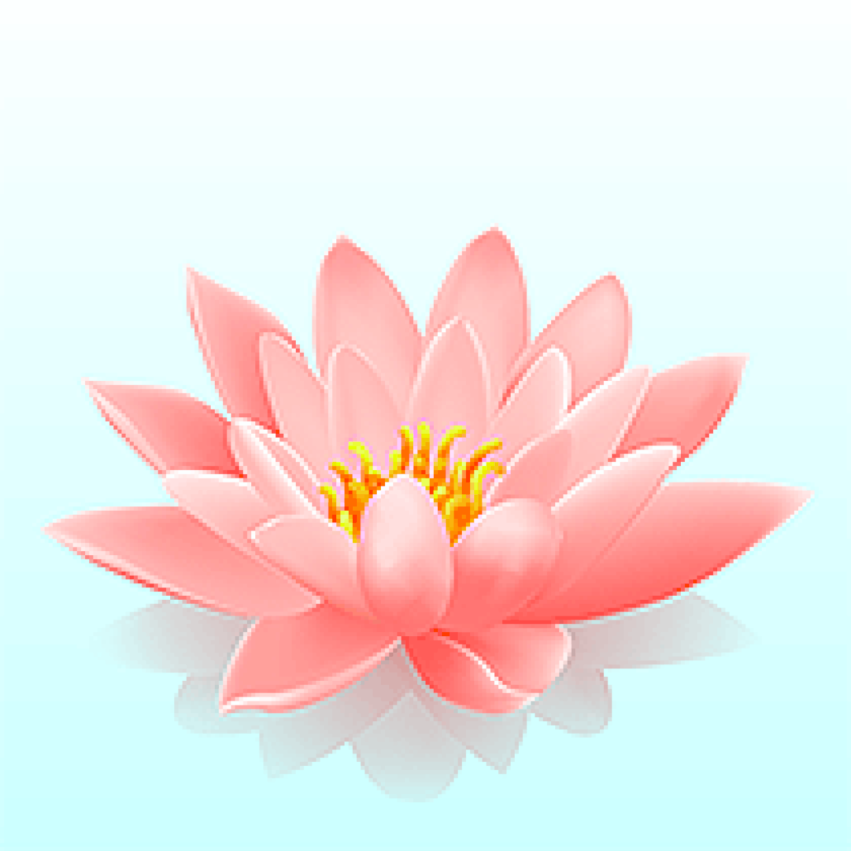 Fleur de lotus dessin