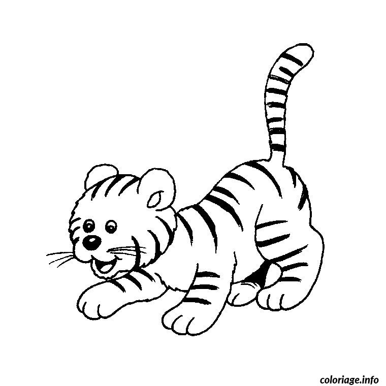 Tigre dessin facile