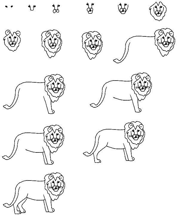 Comment dessiner un lion facile