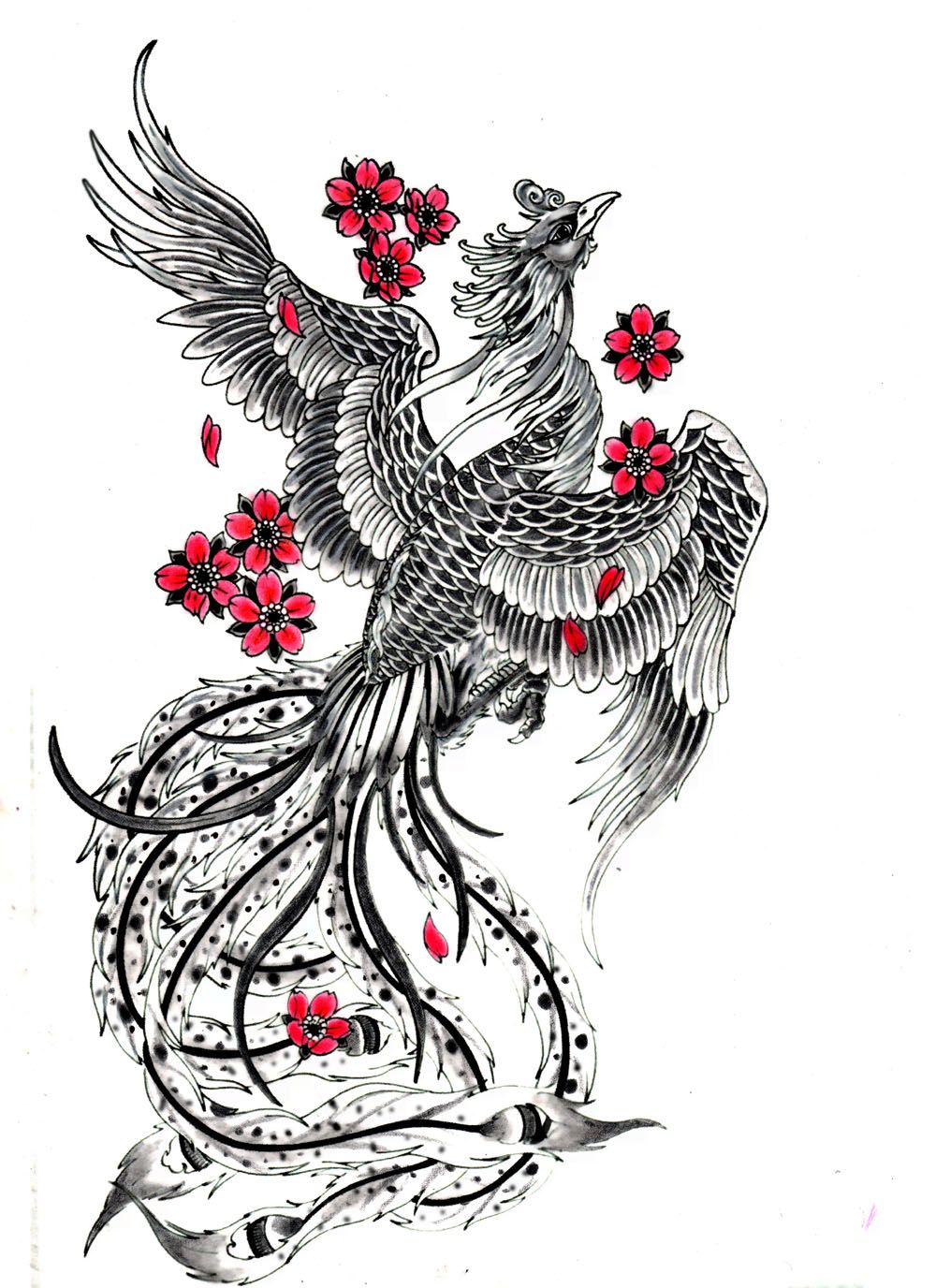Phoenix japonais dessin