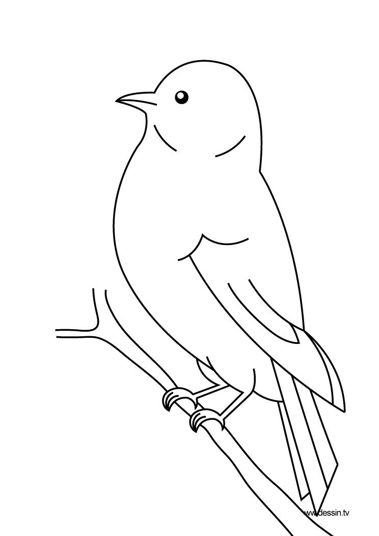 Oiseau dessin facile