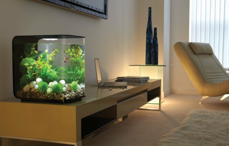 Aquarium maison design
