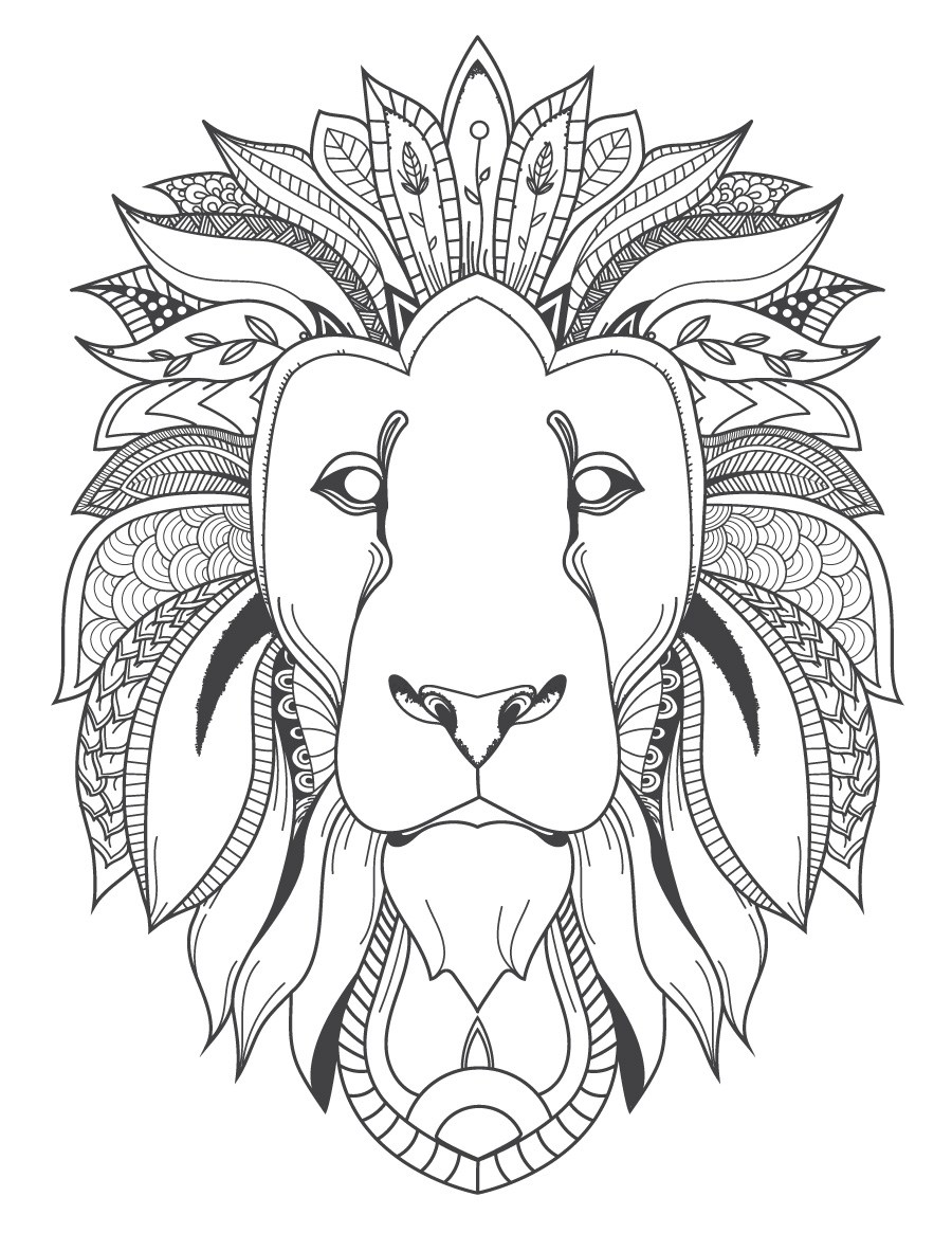 Tête de lion dessin