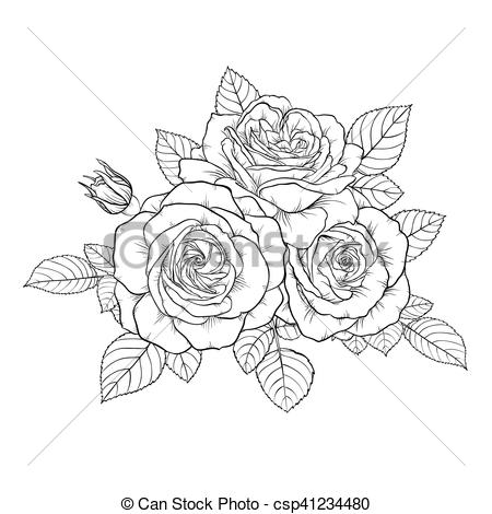 Rose dessin noir et blanc