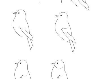 Comment dessiner un oiseau facile