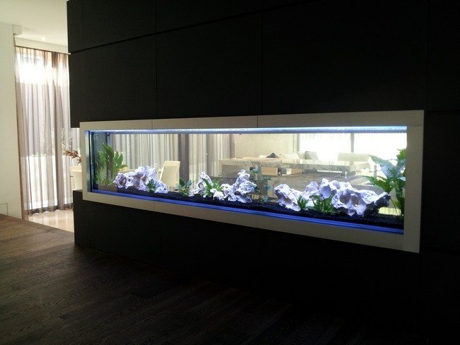 Aquarium maison design
