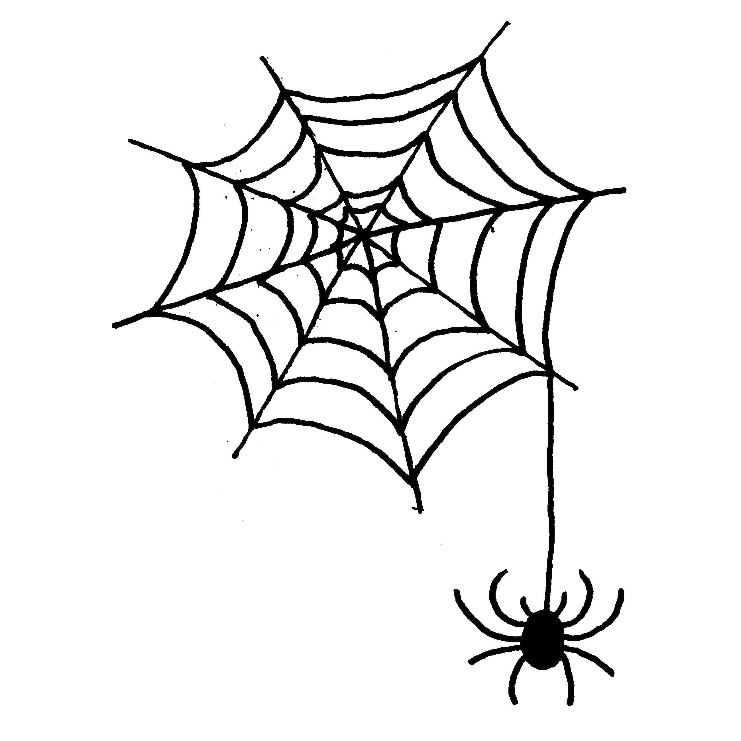 Dessin araignée halloween – Bricolage Maison et décoration