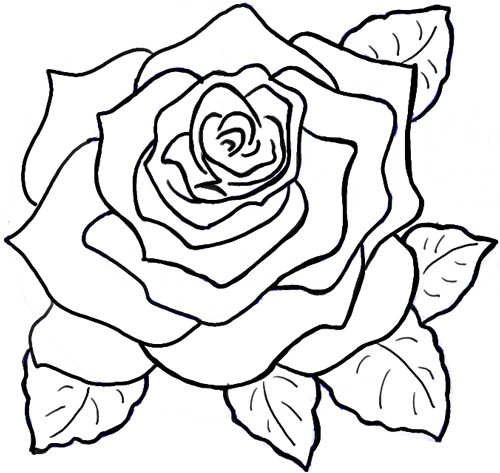 Rose dessin facile