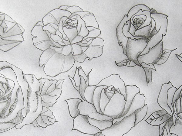 Dessin de rose tatouage