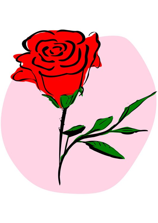 Rose rouge dessin