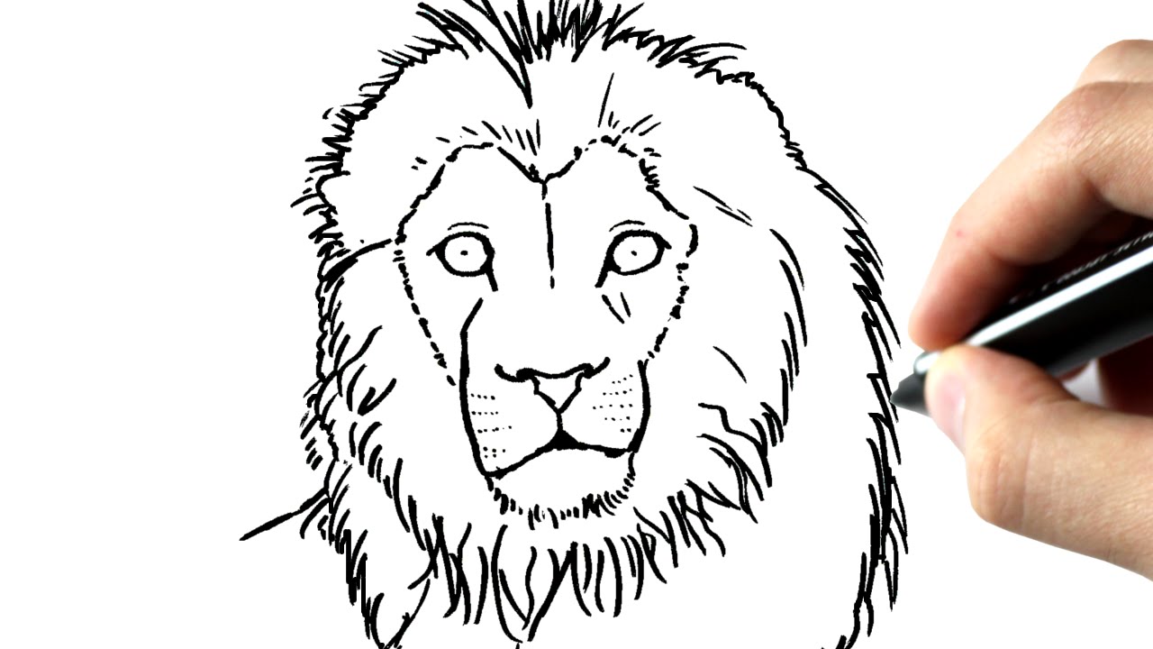 Dessin de lion facile