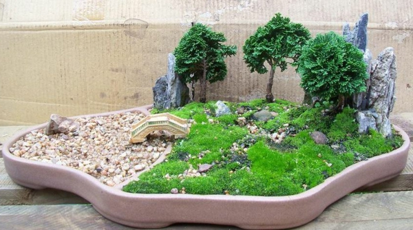 Mini jardin japonais d intérieur
